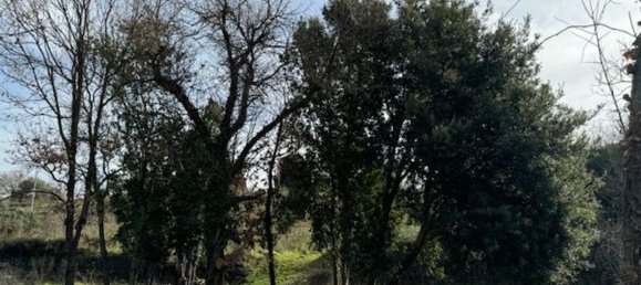 4غرفة منزل في Padria, Italy رقم 125725 14