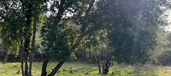 4غرفة منزل في Padria, Italy رقم 125725 9