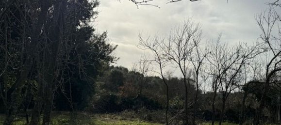 4غرفة منزل في Padria, Italy رقم 125725 5