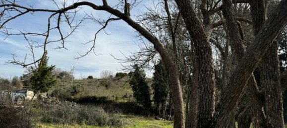 4غرفة منزل في Padria, Italy رقم 125725 2