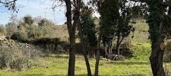 4غرفة منزل في Padria, Italy رقم 125725 8