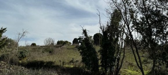 4غرفة منزل في Padria, Italy رقم 125725 7