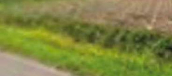 19936m² Land in Due Carrare, Italy No. 167216 4