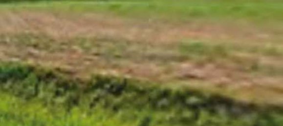 19936m² Land in Due Carrare, Italy No. 167216 5