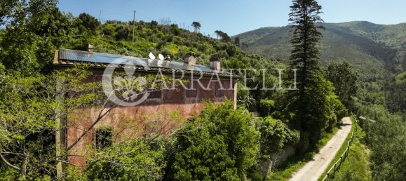 Дом с 4 спальнями в Пиза, Италия № 196565 7