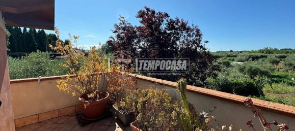 Villa de 7 dormitorios en Francavilla al Mare, Italy No. 270585 29