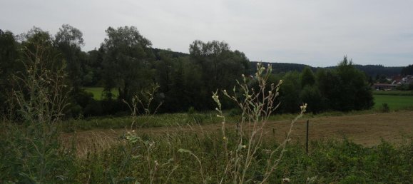 Terreno en Schwarzwald-Baar-Kreis, Germany 731 m² No. 4278 3