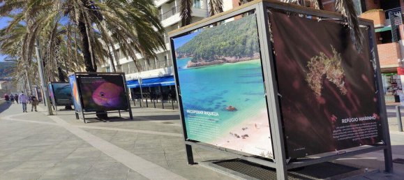 4 bedrooms Villa in Sesimbra, Portugal No. 103564 11