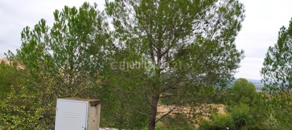 Земельный участок 461м² в Сан-Льоренк Д'Хортонс, Испания № 158916 4