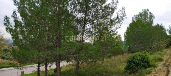 Земельный участок 461м² в Сан-Льоренк Д'Хортонс, Испания № 158916 11