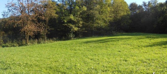 2000m² Land in Zandobbio, Italy No. 80235 14