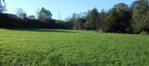 2000m² Land in Zandobbio, Italy No. 80235 13