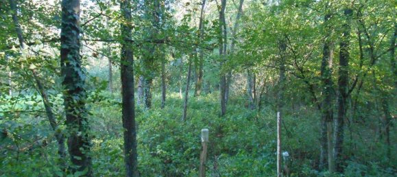 2000m² Land in Zandobbio, Italy No. 80235 7