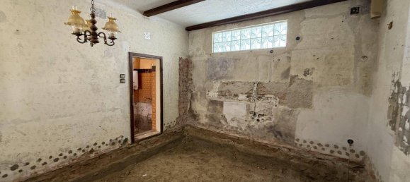 4-Zimmer Haus in Bernhardsthal, Austria, Nr. 244188 11