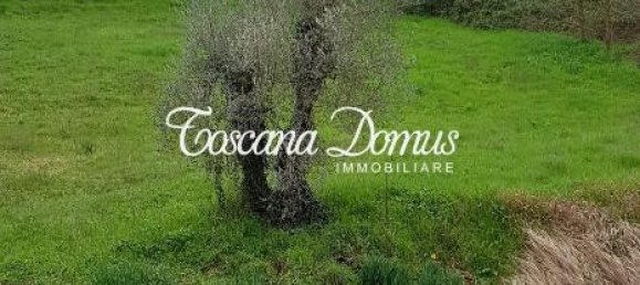 5-Zimmer Wohnung in Siena, Italy, Nr. 24392 6