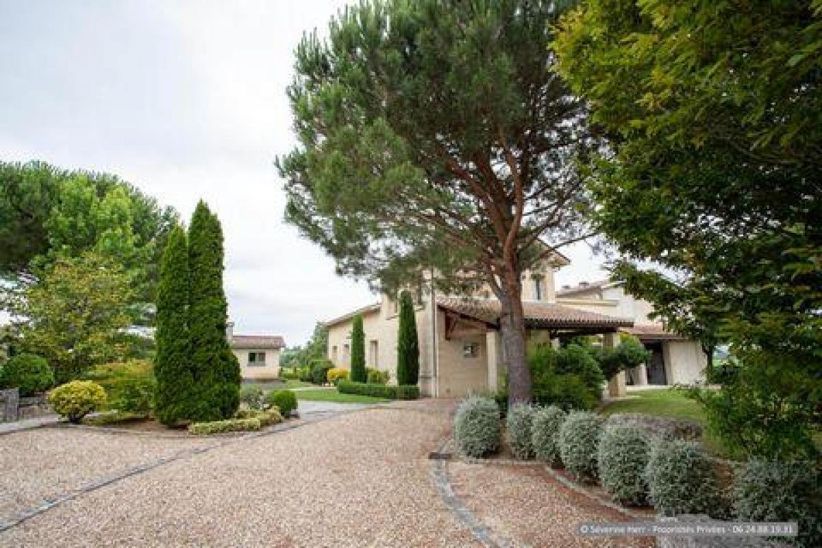 4 bedrooms House in Bourg, France No. 5975