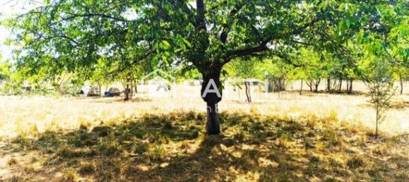 Земельный участок 6597м² в Иссуден, Франция № 303021 9