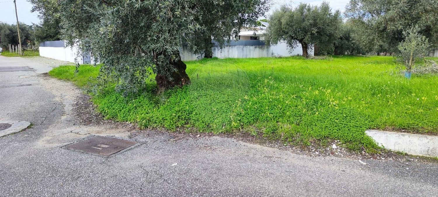 910m² Land in Coimbra, Portugal No. 85167