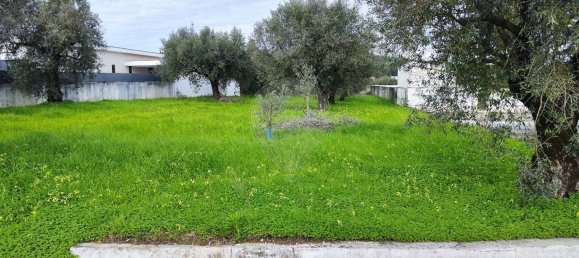 910m² Land in Coimbra, Portugal No. 85167 3
