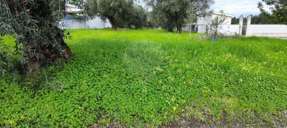 910m² Land in Coimbra, Portugal No. 85167 4