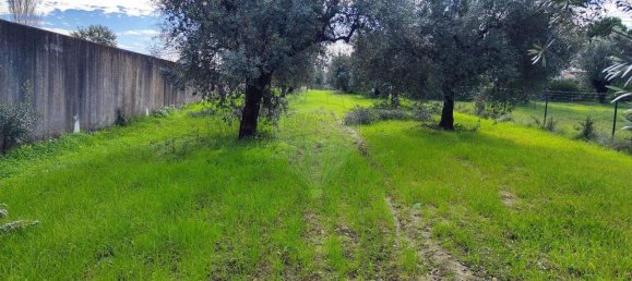 910m² Land in Coimbra, Portugal No. 85167 11