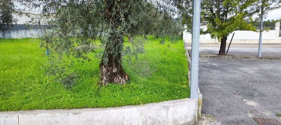 910m² Land in Coimbra, Portugal No. 85167 2