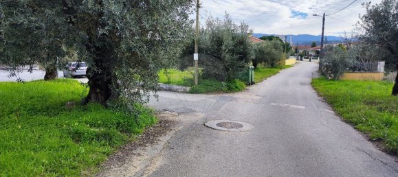910m² Land in Coimbra, Portugal No. 85167 6