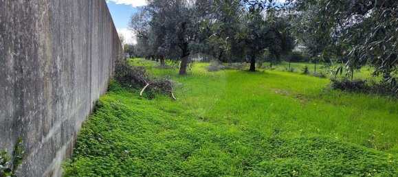 910m² Land in Coimbra, Portugal No. 85167 9