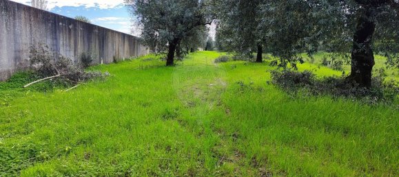 910m² Land in Coimbra, Portugal No. 85167 8