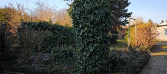 Terrain à Riesa, Germany No. 247131 5