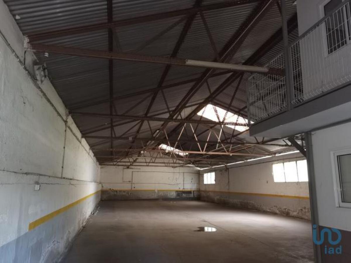 300m² Shop in Funchal, Portugal No. 1975