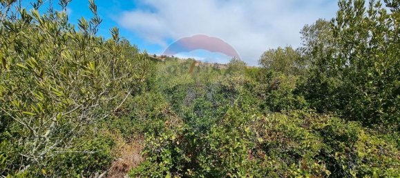 Terreno en Sintra, Portugal 6920 m² No. 74787 2