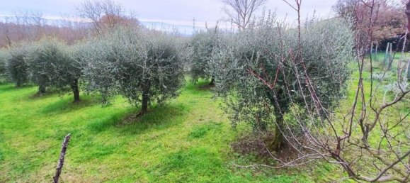 8 rooms House in Foiano della Chiana, Italy No. 228397 9