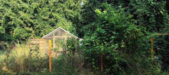 5-Zimmer Haus in Görlitz, Germany, Nr. 257917 10