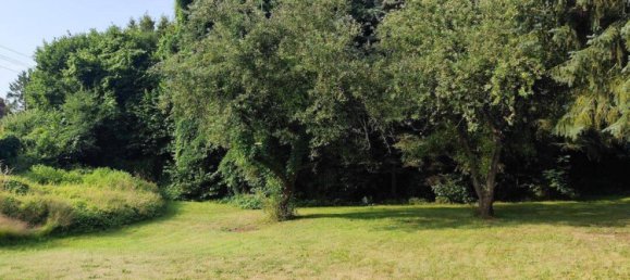 5-Zimmer Haus in Görlitz, Germany, Nr. 257917 4