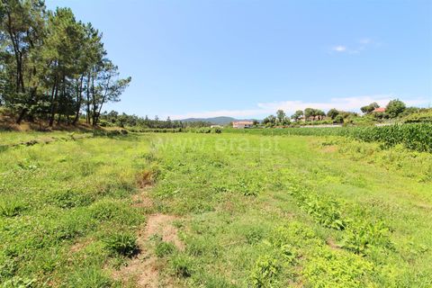 Terreno en Barcelos, Portugal No. 202270