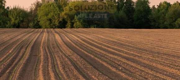 1 room Commercial property in Gavirate, Italy No. 94094 10