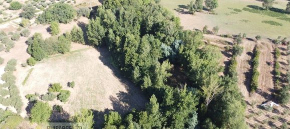 قطعة أرض في Fundao, Portugal 17940متر مربع رقم 73302 4