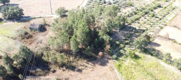 قطعة أرض في Fundao, Portugal 17940متر مربع رقم 73302 3