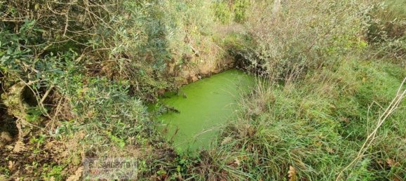 قطعة أرض في Fundao, Portugal 17940متر مربع رقم 73302 15