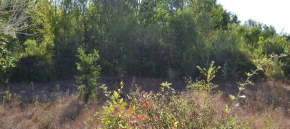 قطعة أرض في Fundao, Portugal 17940متر مربع رقم 73302 16