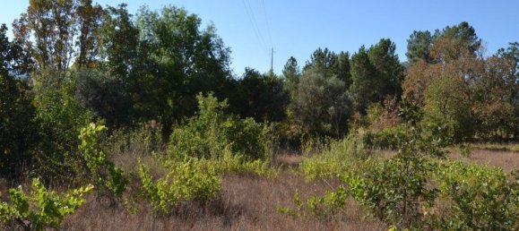 قطعة أرض في Fundao, Portugal 17940متر مربع رقم 73302 19