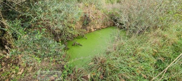 قطعة أرض في Fundao, Portugal 17940متر مربع رقم 73302 12