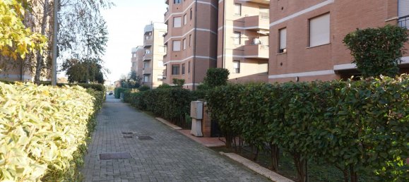 3-Zimmer Wohnung in Torrile, Italy, Nr. 231018 31