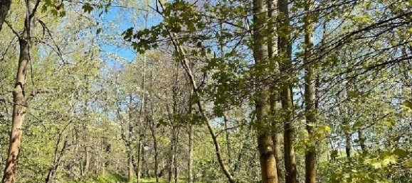 Propiedad comercial en Bautzen, Germany 1327 m² No. 201253 10