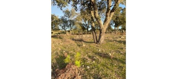 6 bedrooms House in Portalegre, Portugal No. 136592 4