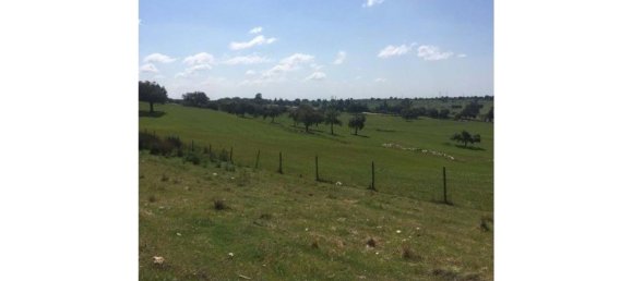 6 bedrooms House in Portalegre, Portugal No. 136592 16