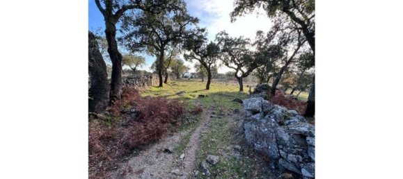 6 bedrooms House in Portalegre, Portugal No. 136592 8