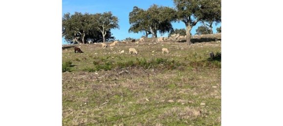 6 bedrooms House in Portalegre, Portugal No. 136592 10