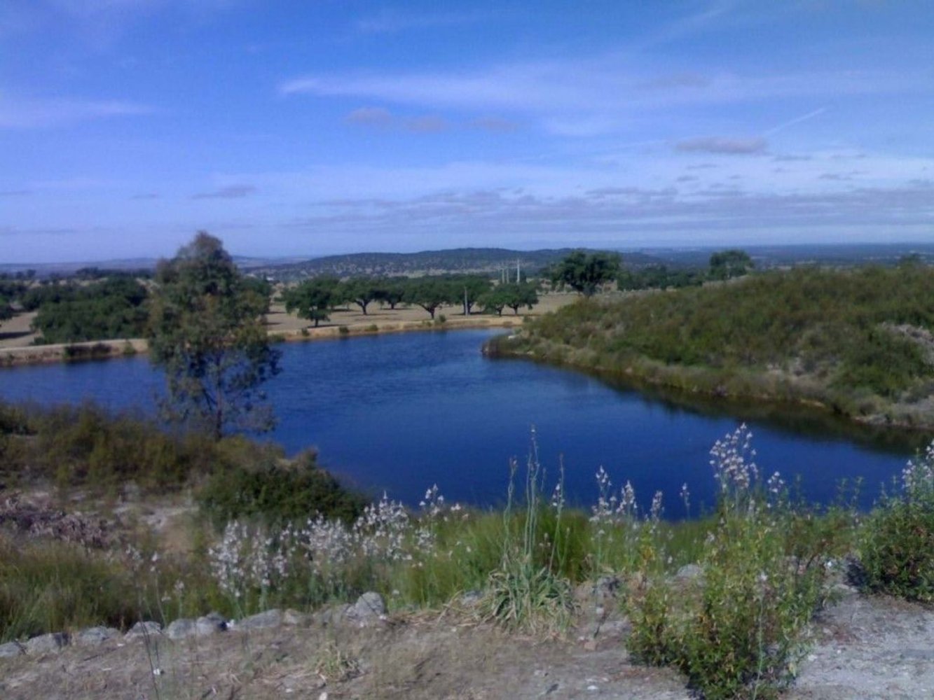 6 bedrooms House in Portalegre, Portugal No. 136592